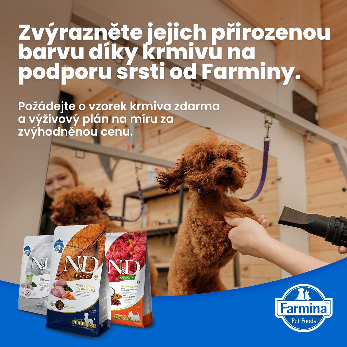 Groomer Club_B2C_Version 2 (1)